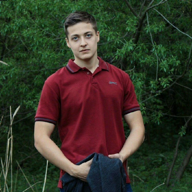 Денис Волгин